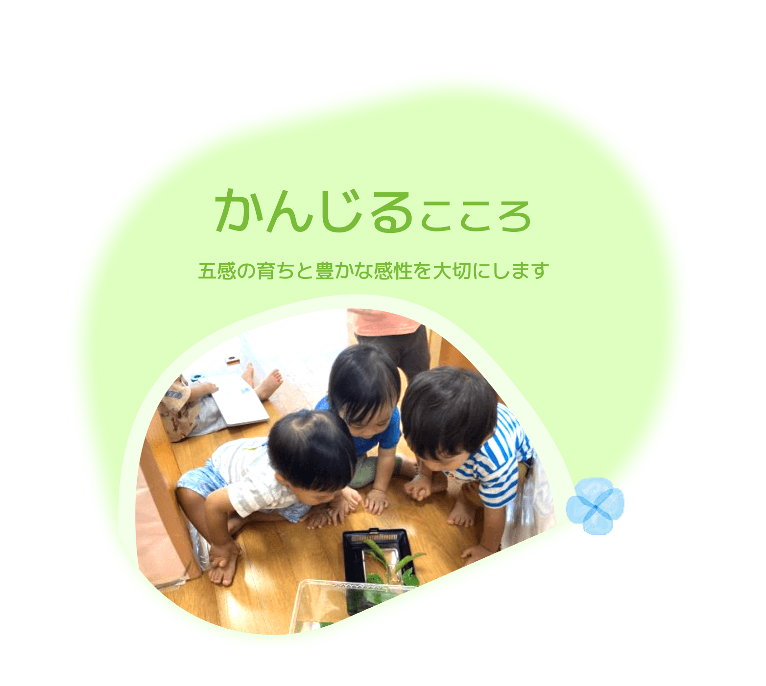 かんじるこころ　五感の育ちと豊かな完成を大切にします