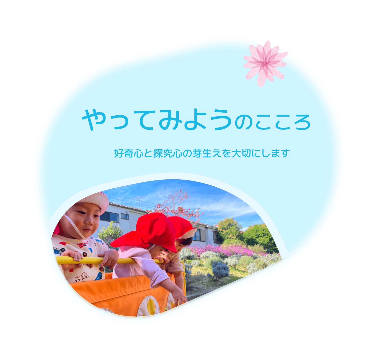 やってみようのこころ　好奇心と探求心の芽生えを大切にします