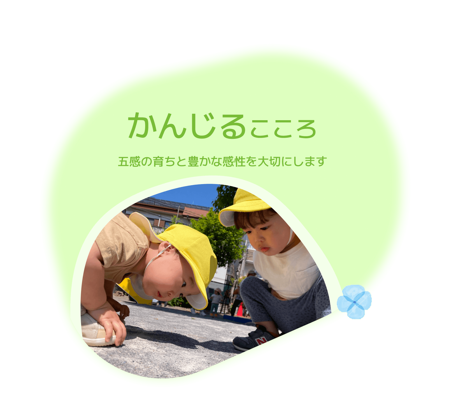 かんじるこころ　五感の育ちと豊かな完成を大切にします