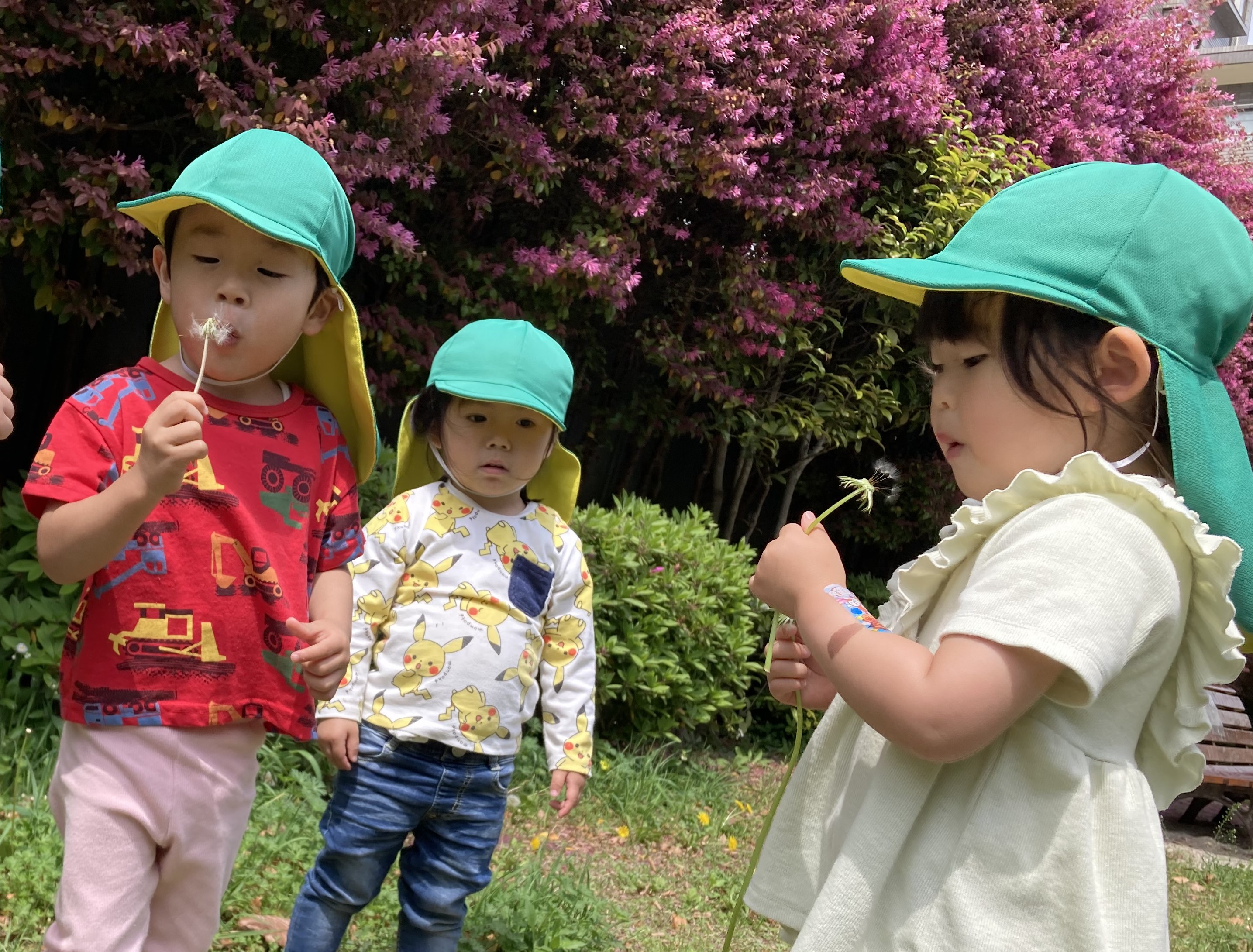 2歳児　たんぽぽ.jpg