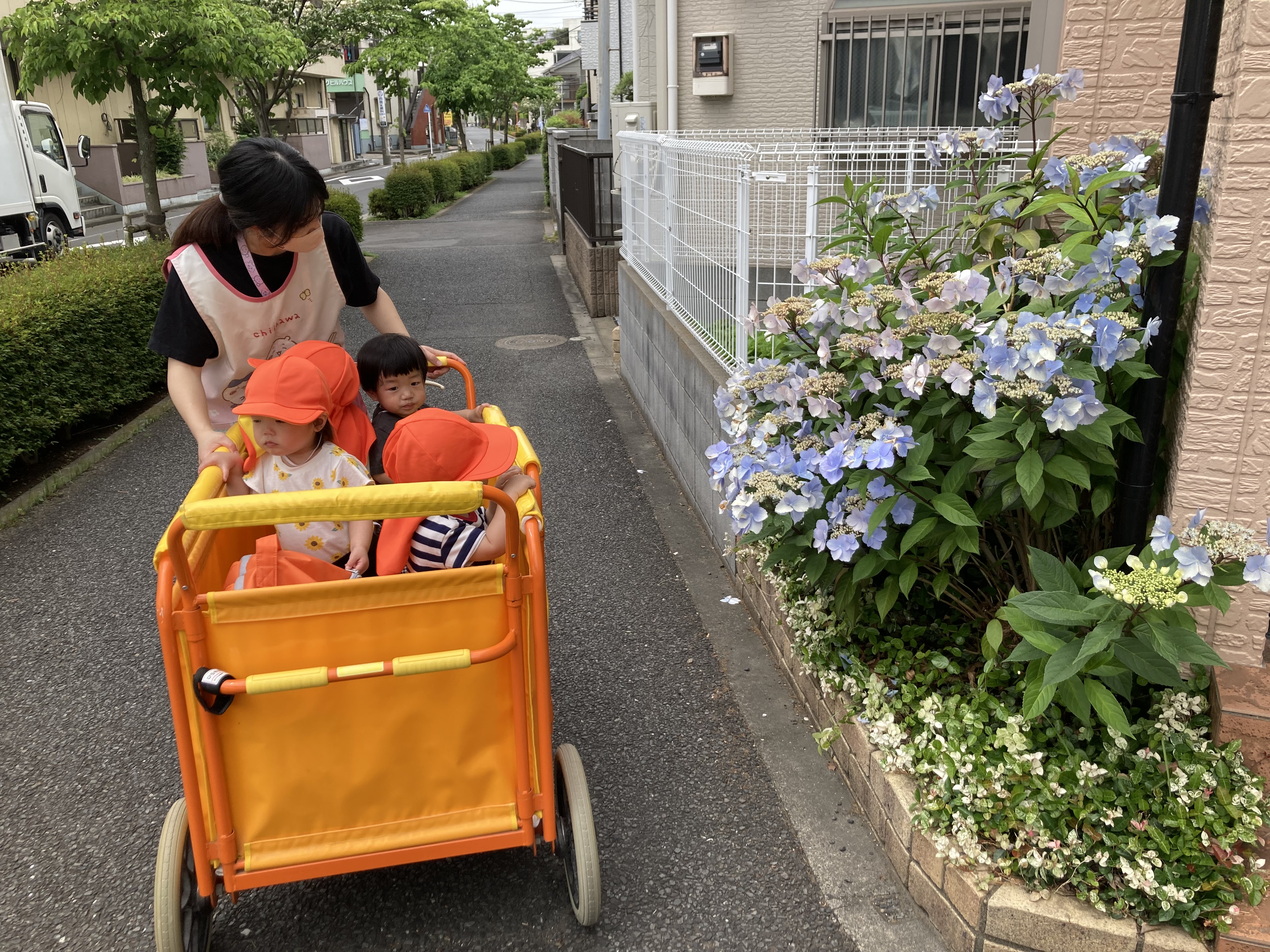 1歳児　散歩 (2).jpg