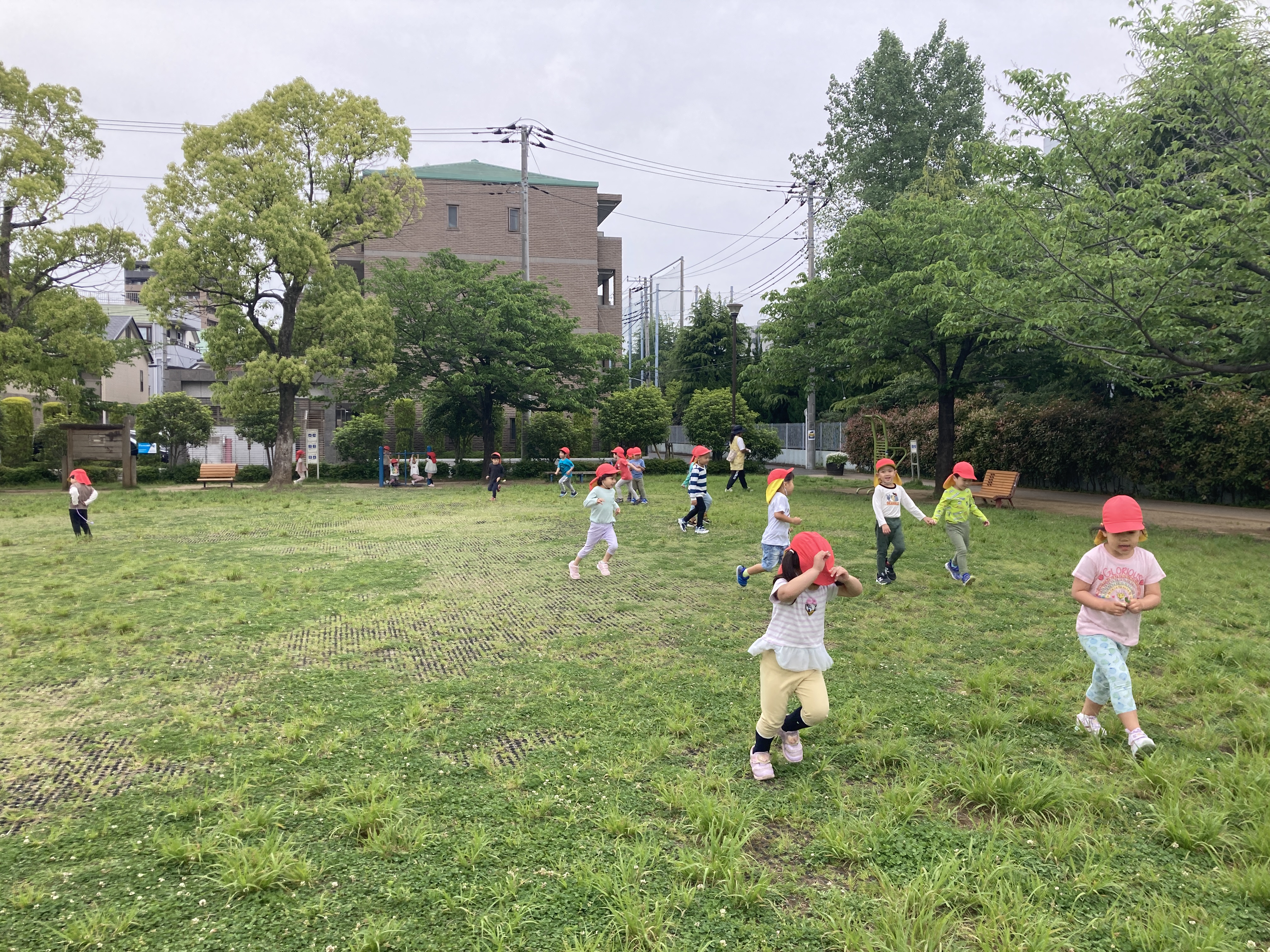 4歳児　散歩 (4).jpg