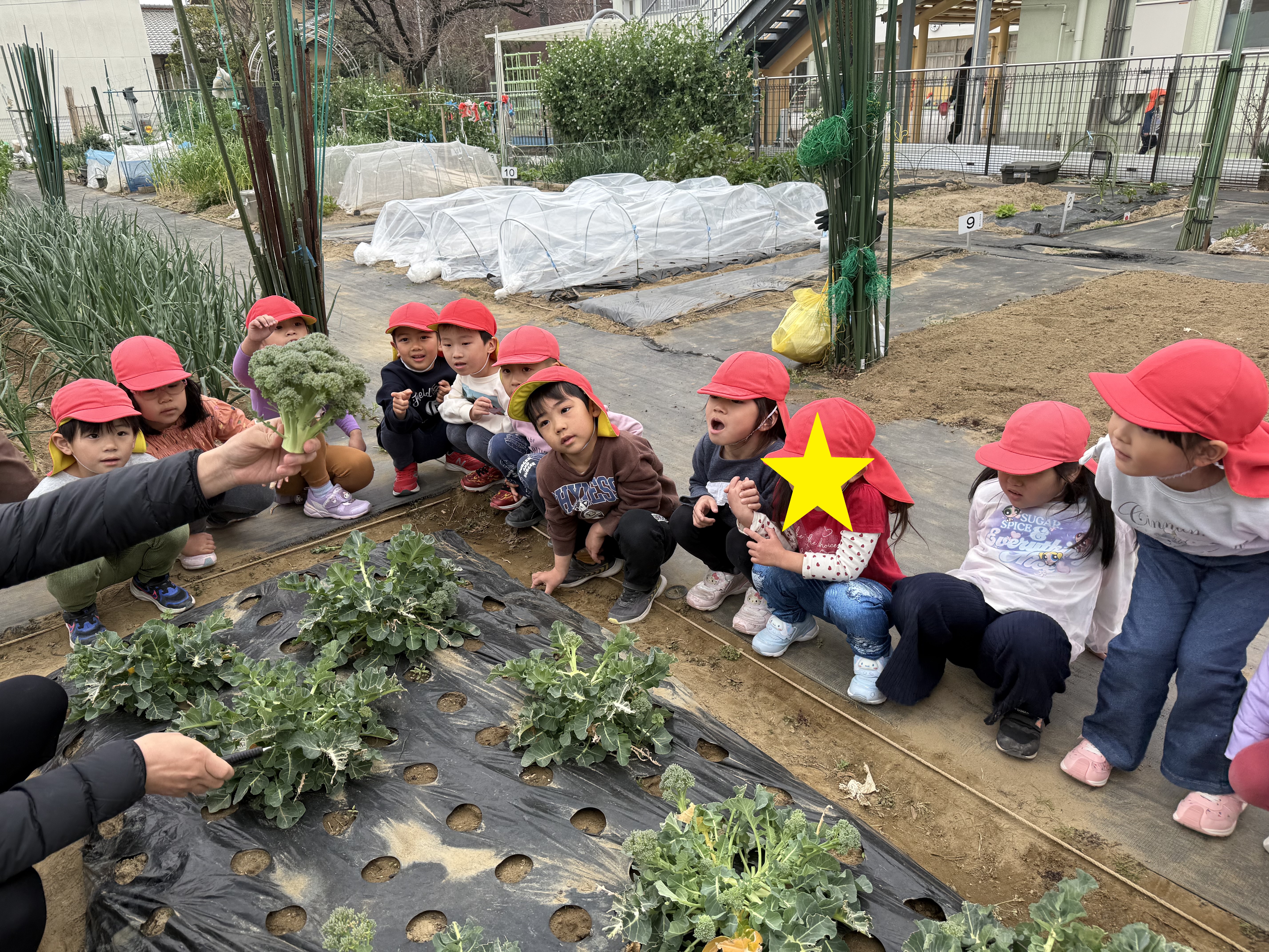 4歳 ブロッコリー.jpg