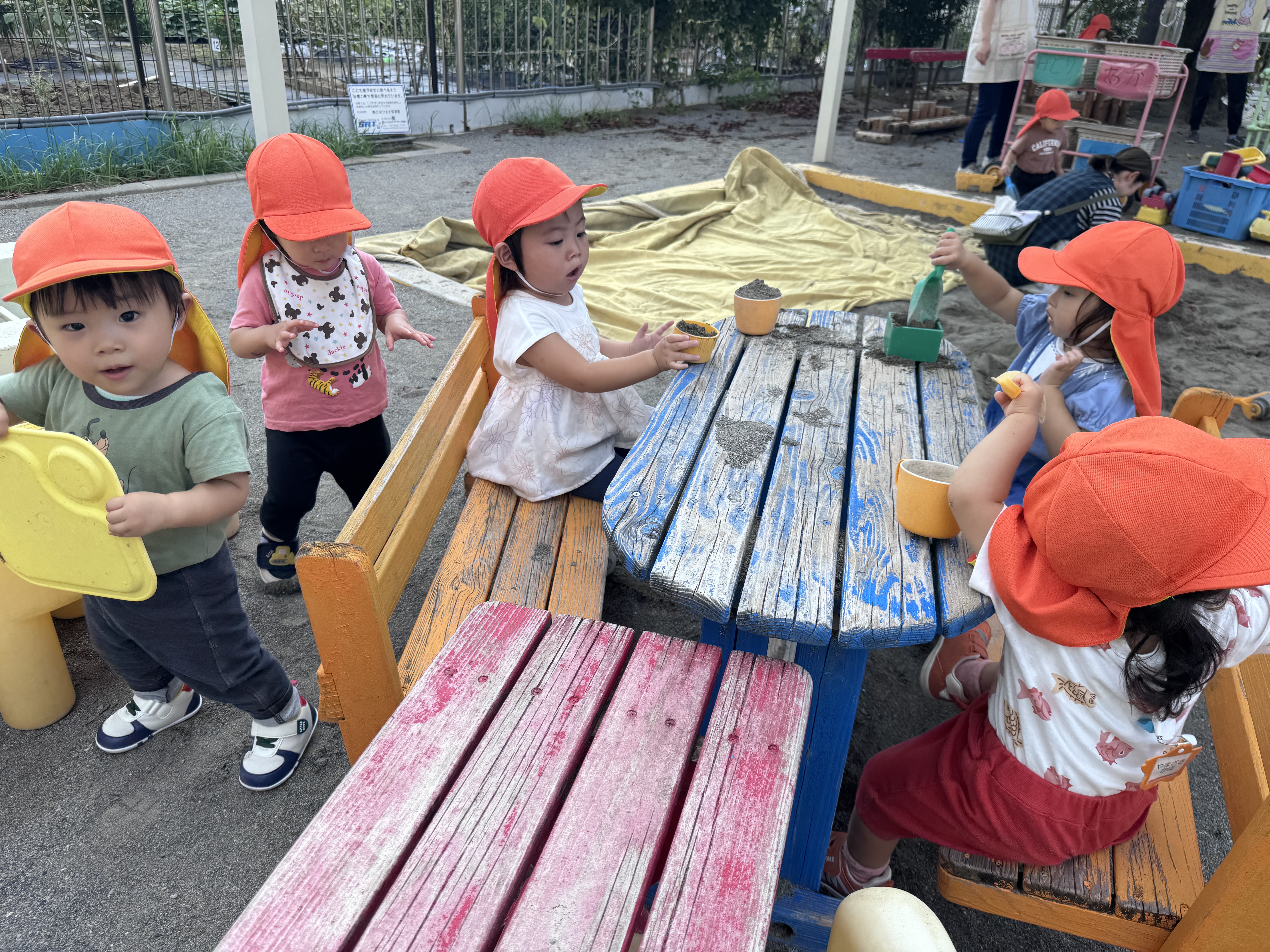 1歳児　園庭 (2).jpg