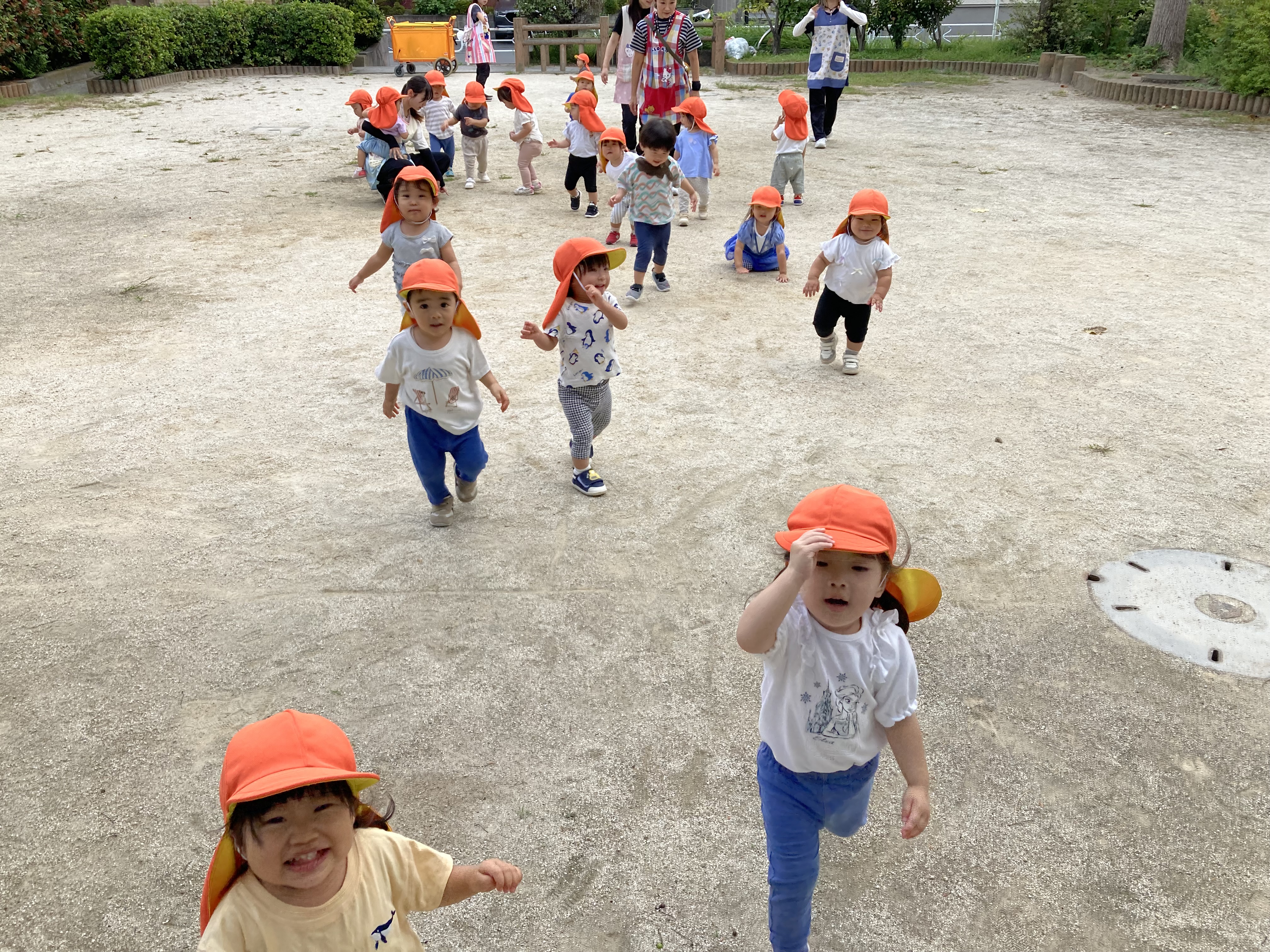 1歳児　散歩 (3).jpg