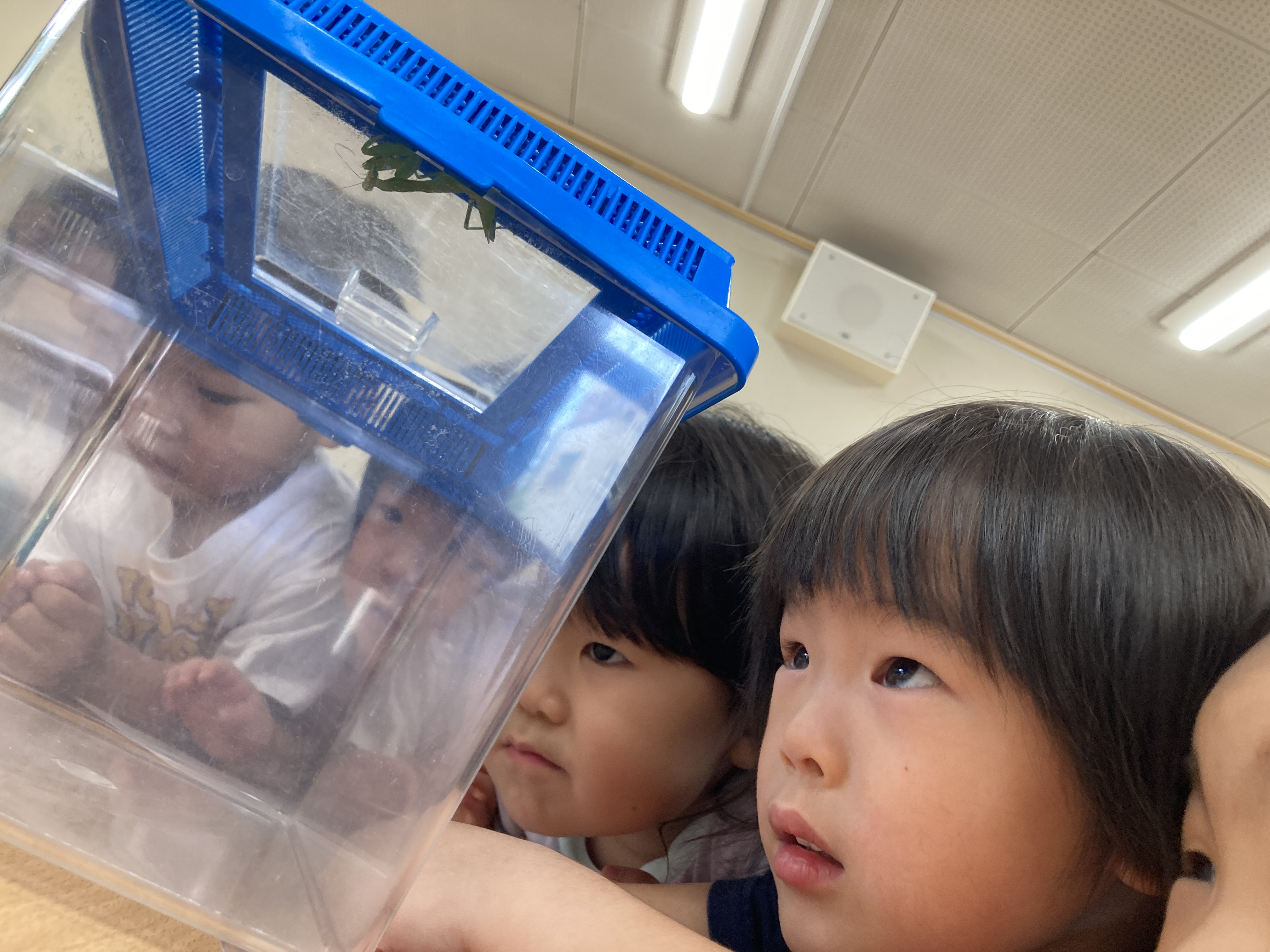じっくり観察中.JPG
