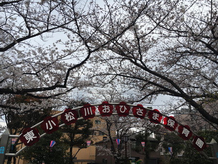 園庭門と桜.JPG