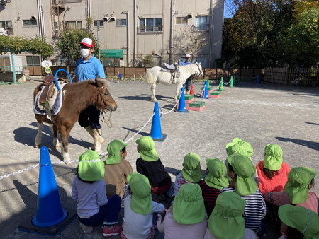 令和3年11月26日　ポニー (6).JPG