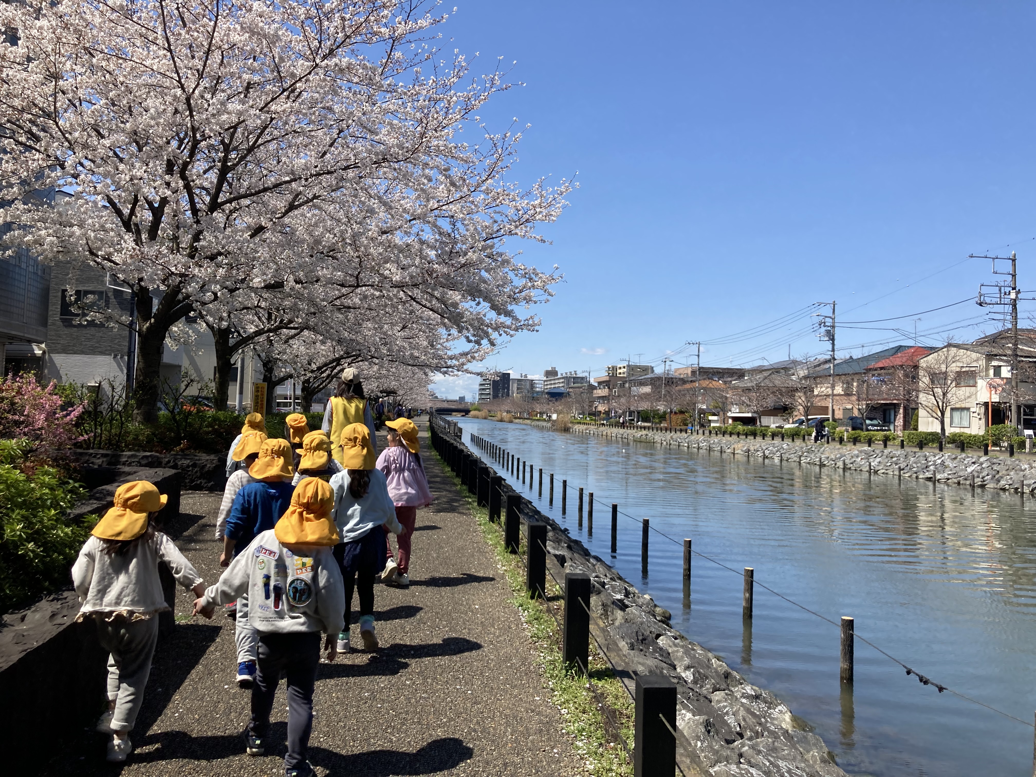 2新川IMG_3691.JPG