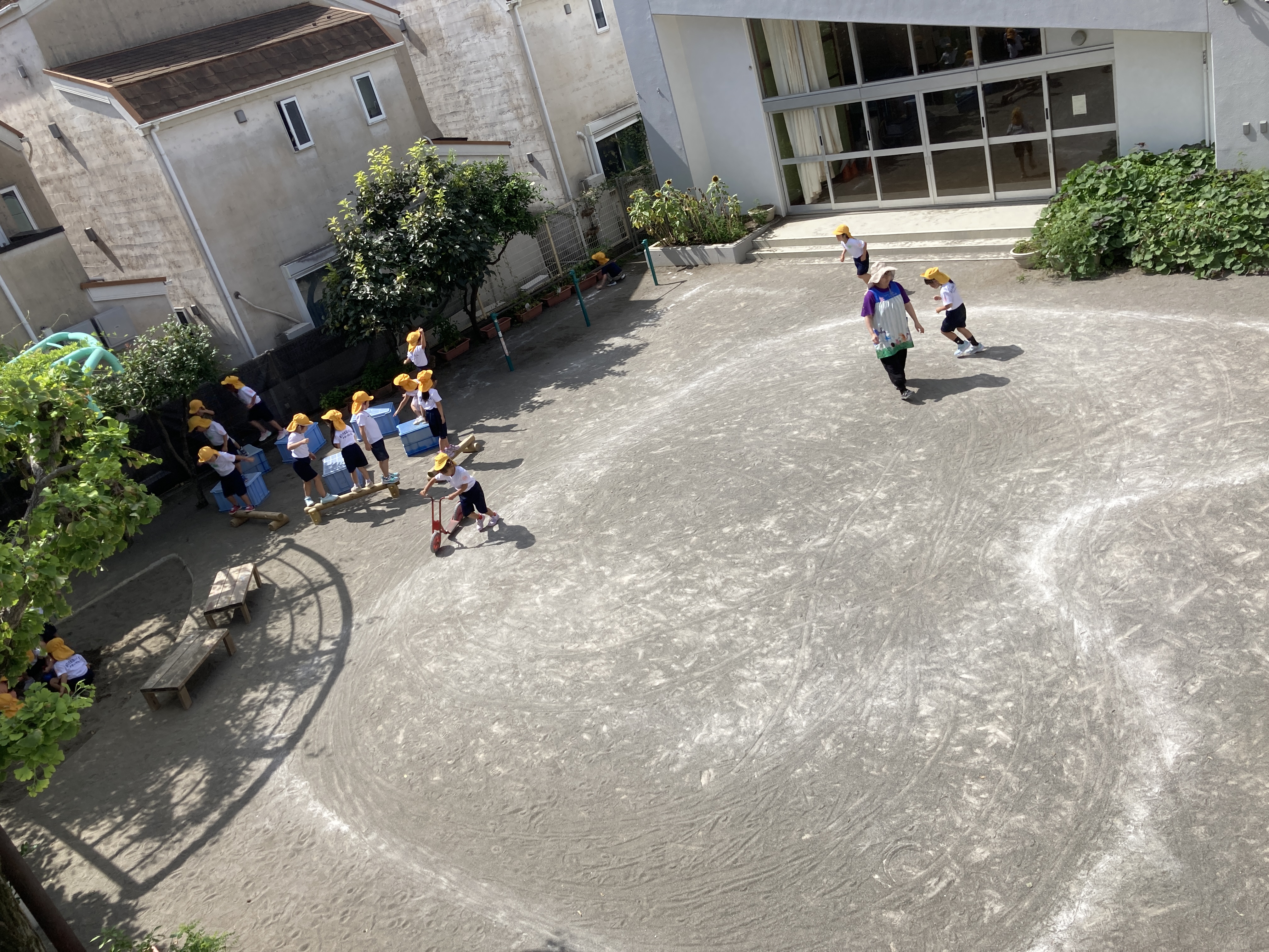 上から園庭.JPG