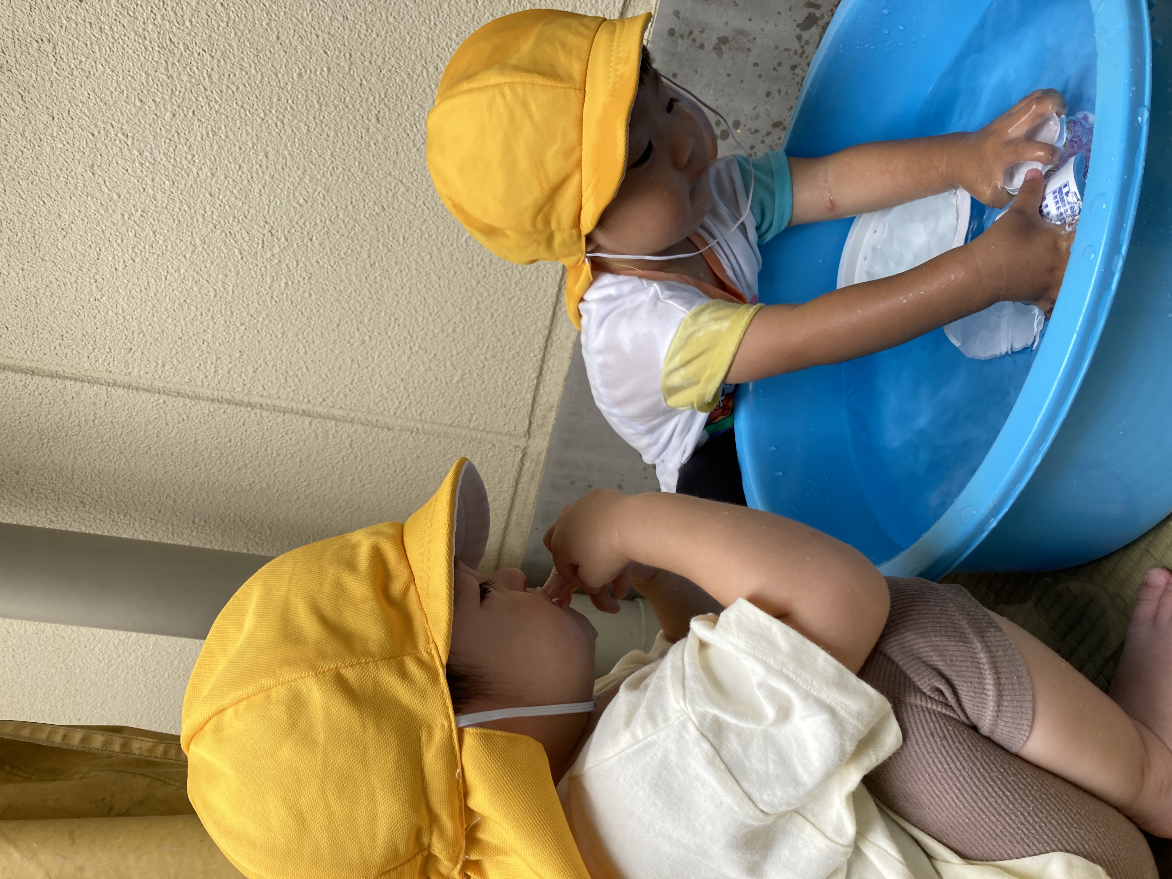 1歳① (2).JPG