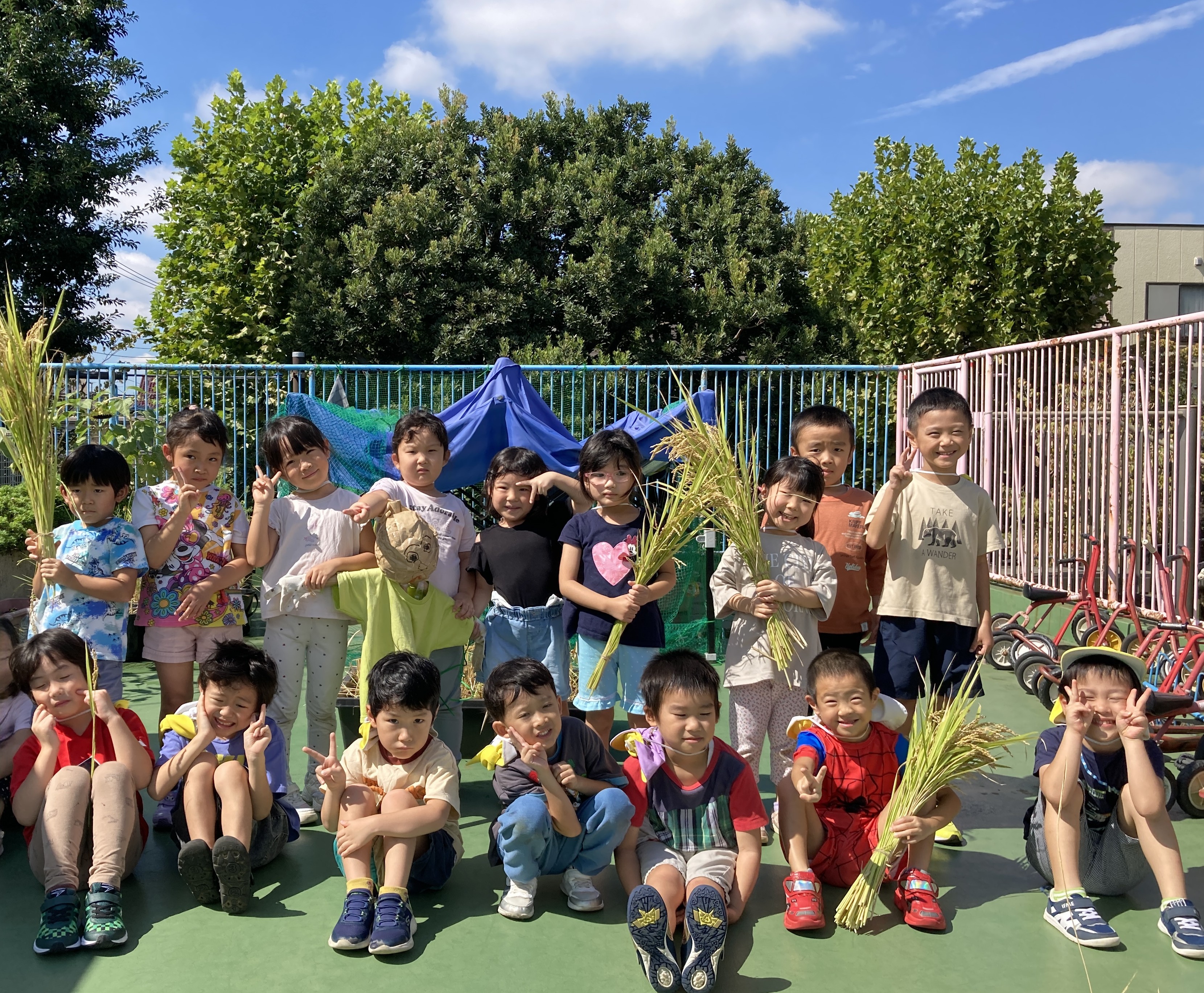 稲かり4.JPG