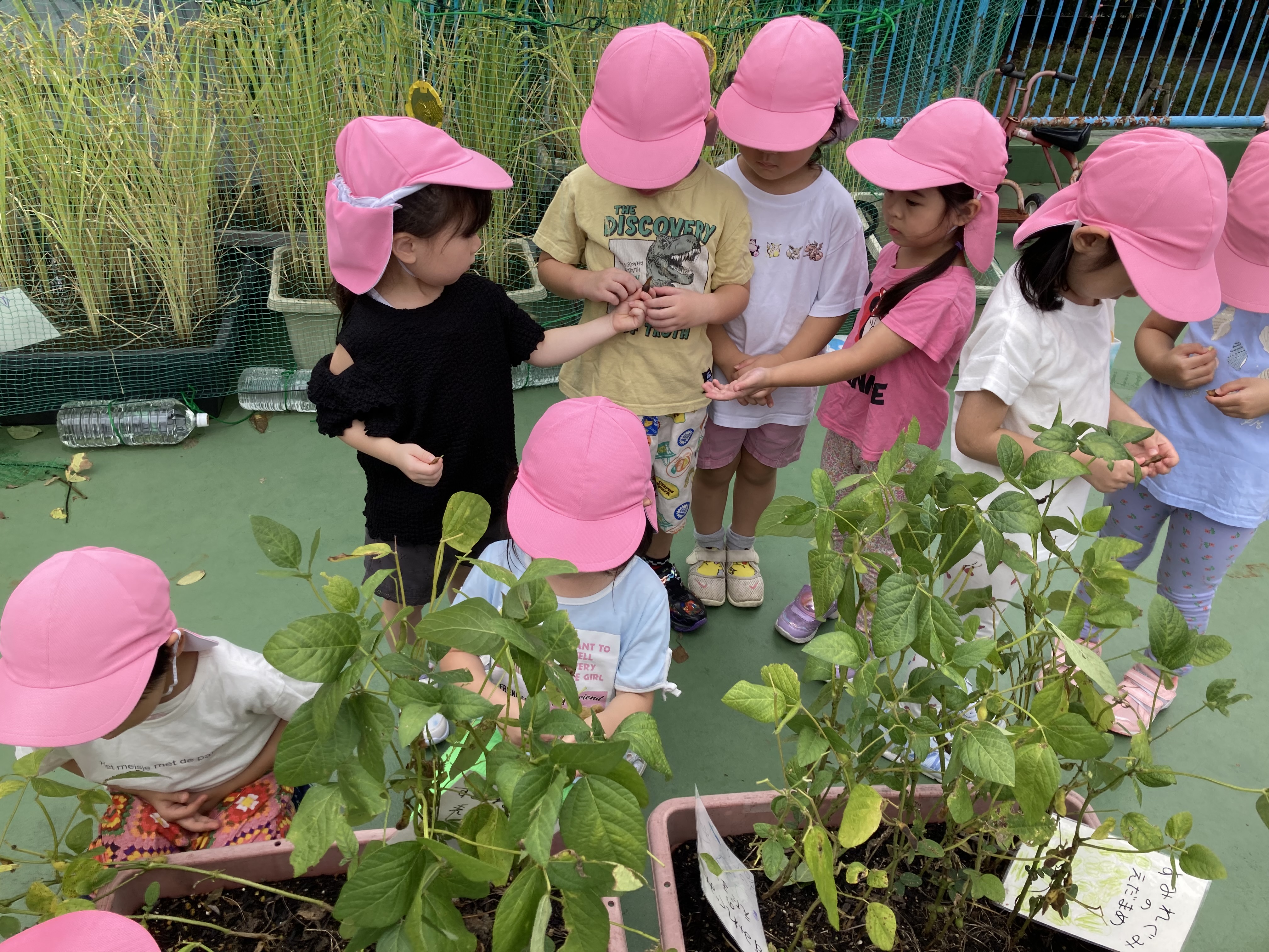 4歳食育.JPG