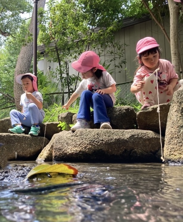4歳 ザリガニ釣り (3).jpg