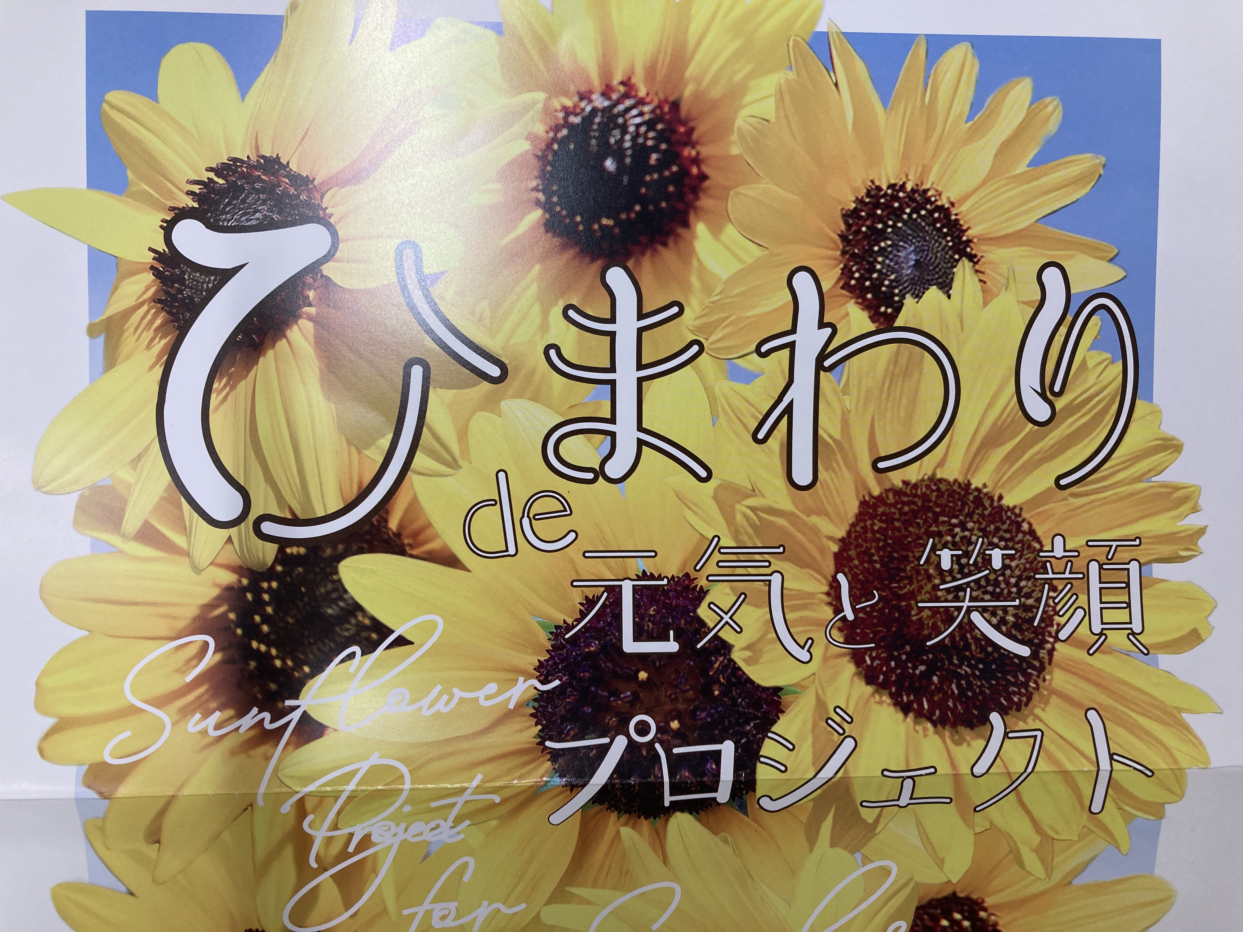 ひまわりde元気と笑顔プロジェクト🌻くま組 | 新堀おひさま保育園
