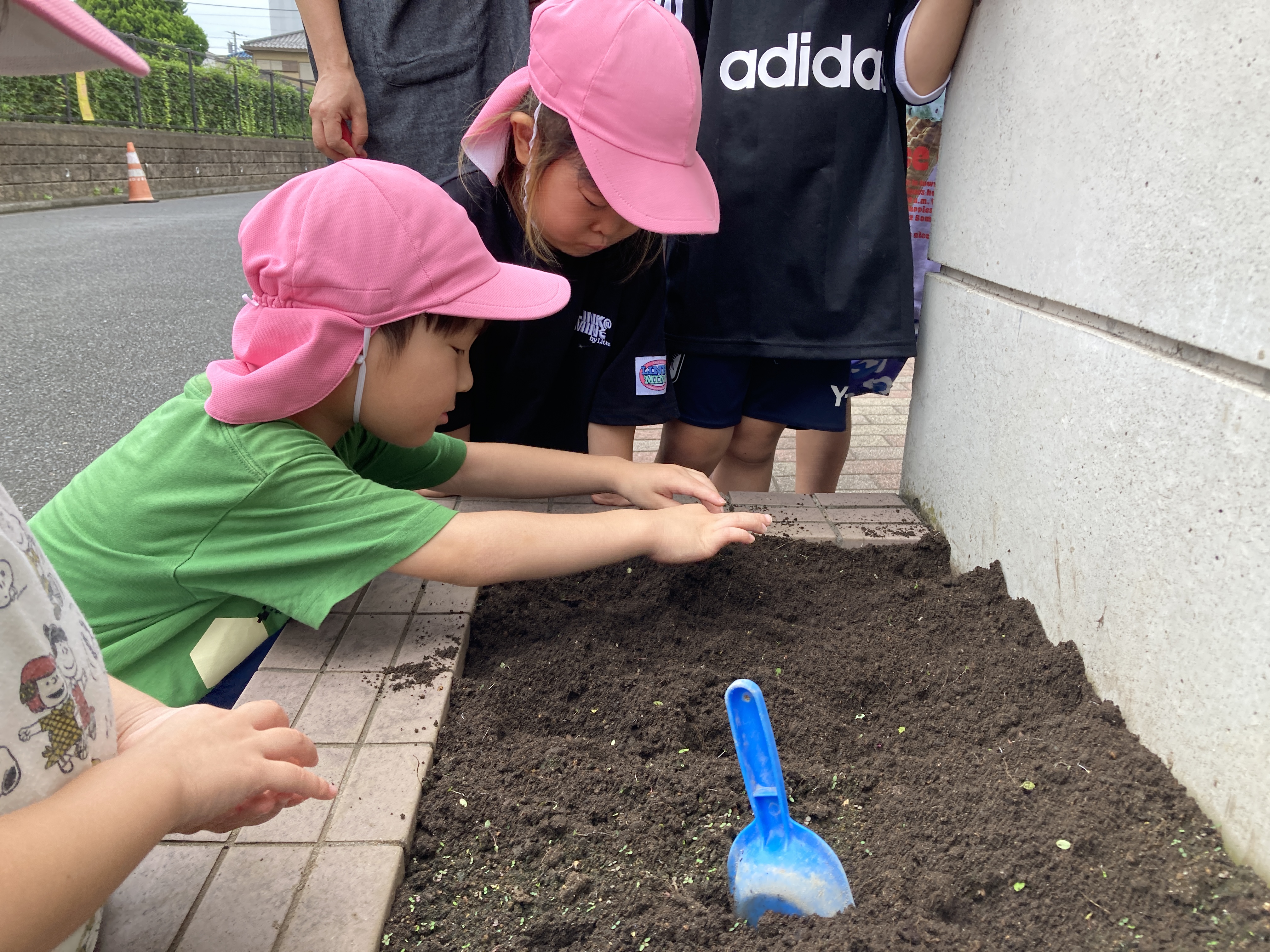 ひまわりde元気と笑顔プロジェクト🌻くま組 | 新堀おひさま保育園