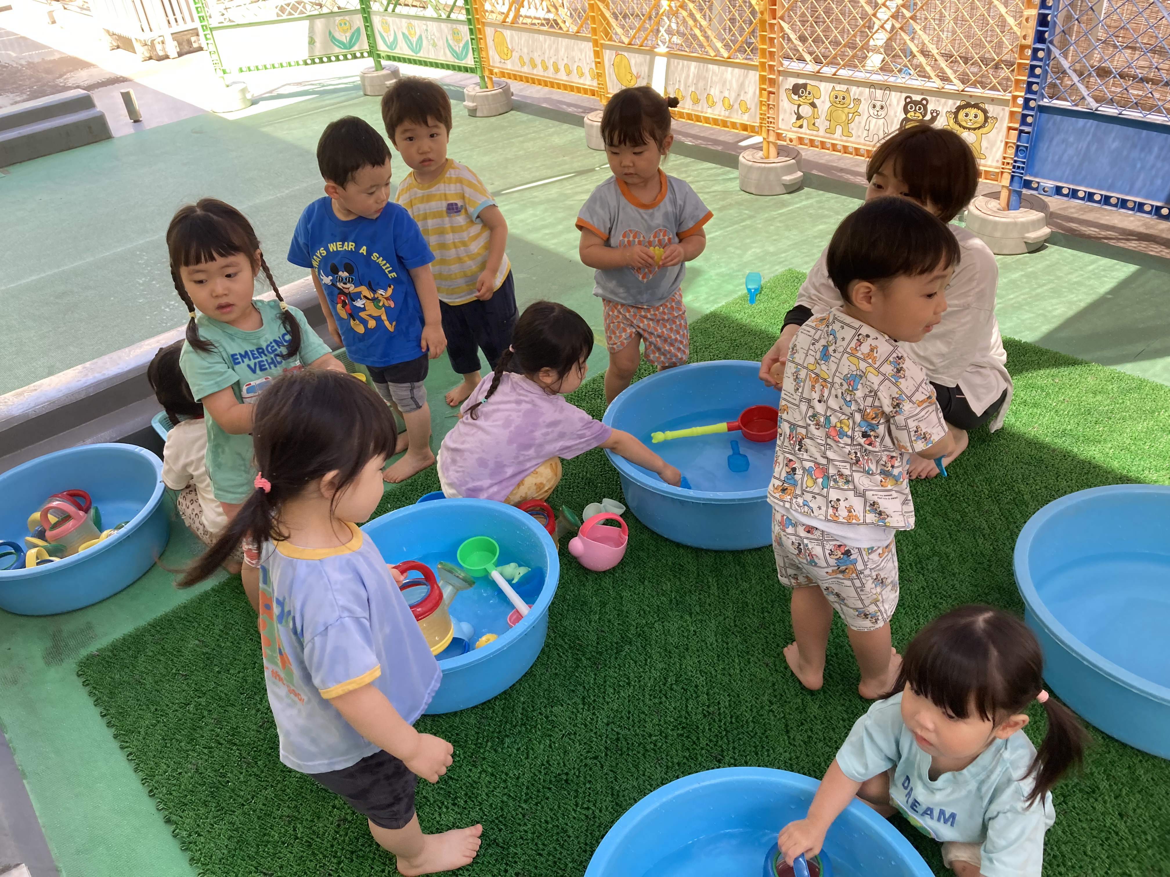 うめ組 豆苗の成長と6月の様子♪ | 西葛西おひさま保育園 | 社会福祉