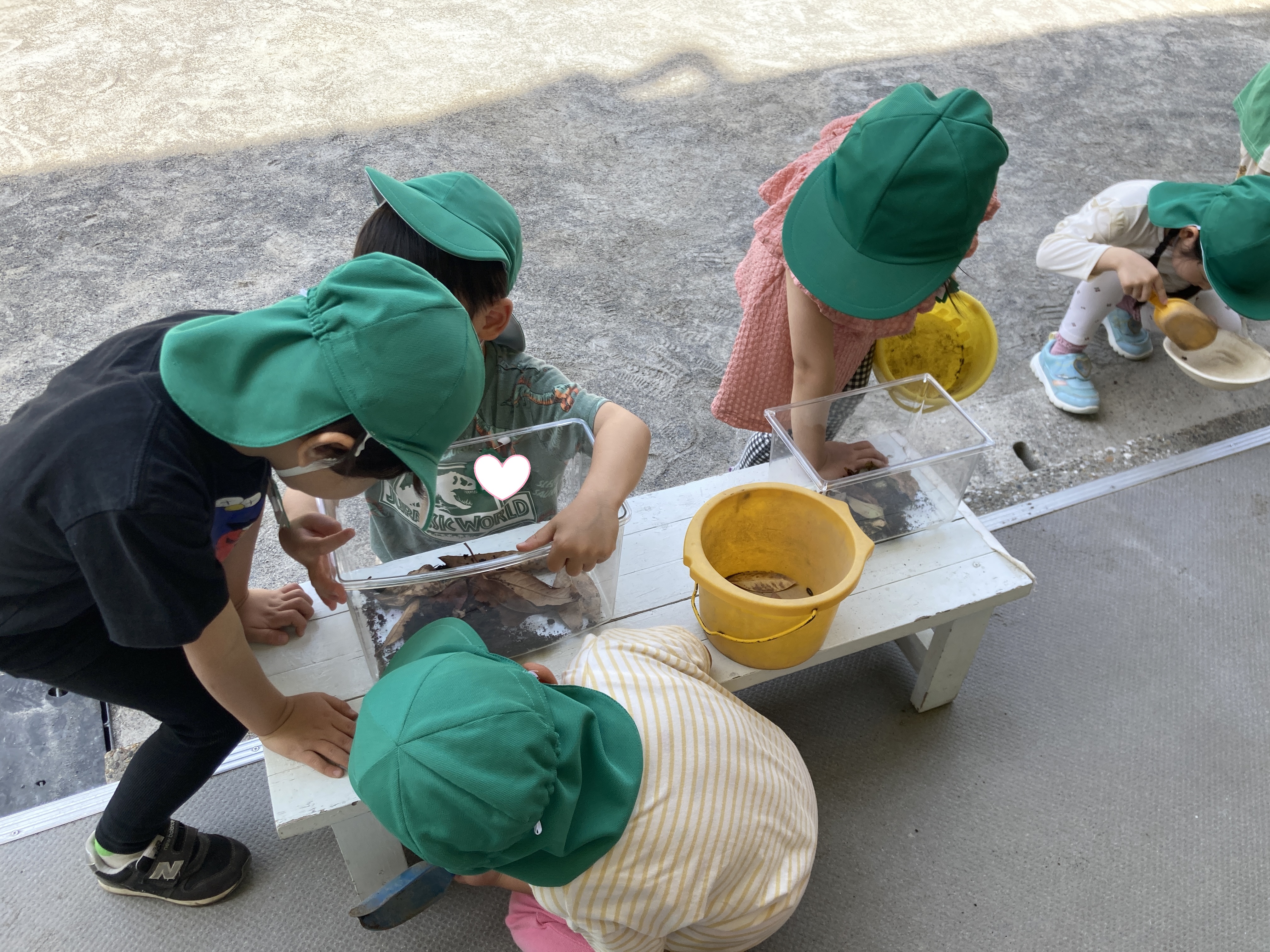 4歳　どんぐり⑤.JPG